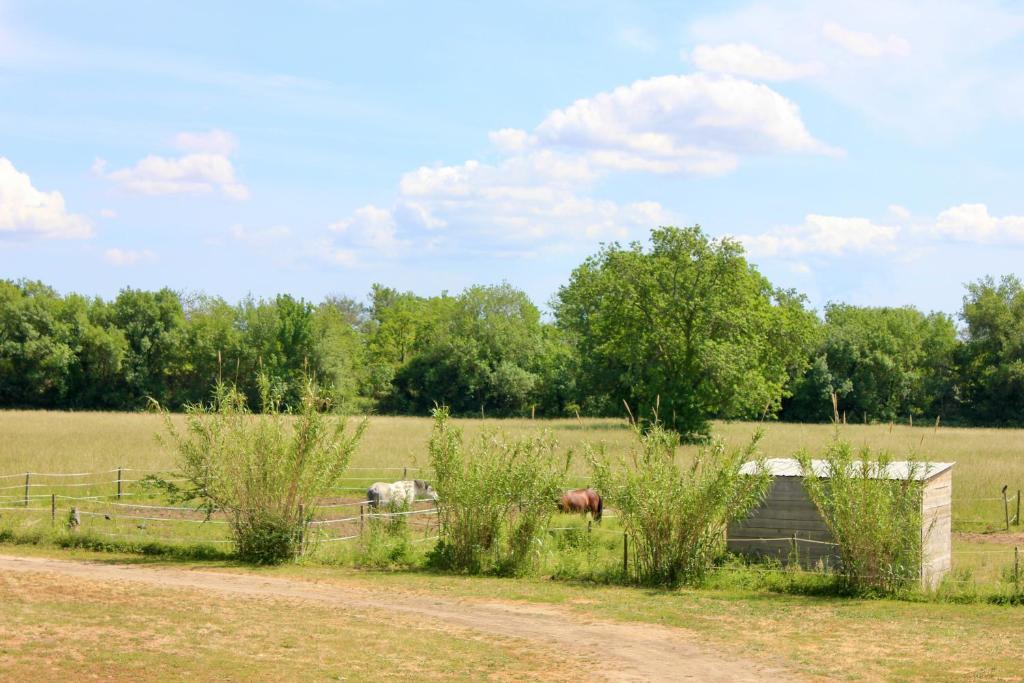 Zdjęcie z galerii obiektu Appartement en Camargue w mieście Saint-Hippolyte
