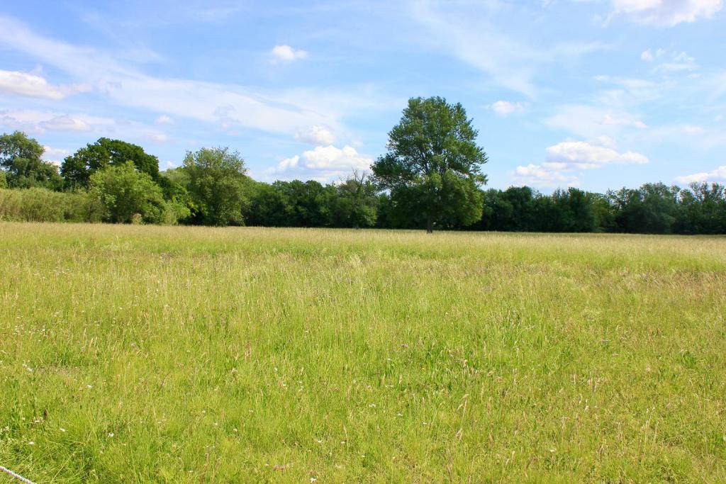 Zdjęcie z galerii obiektu Appartement en Camargue w mieście Saint-Hippolyte