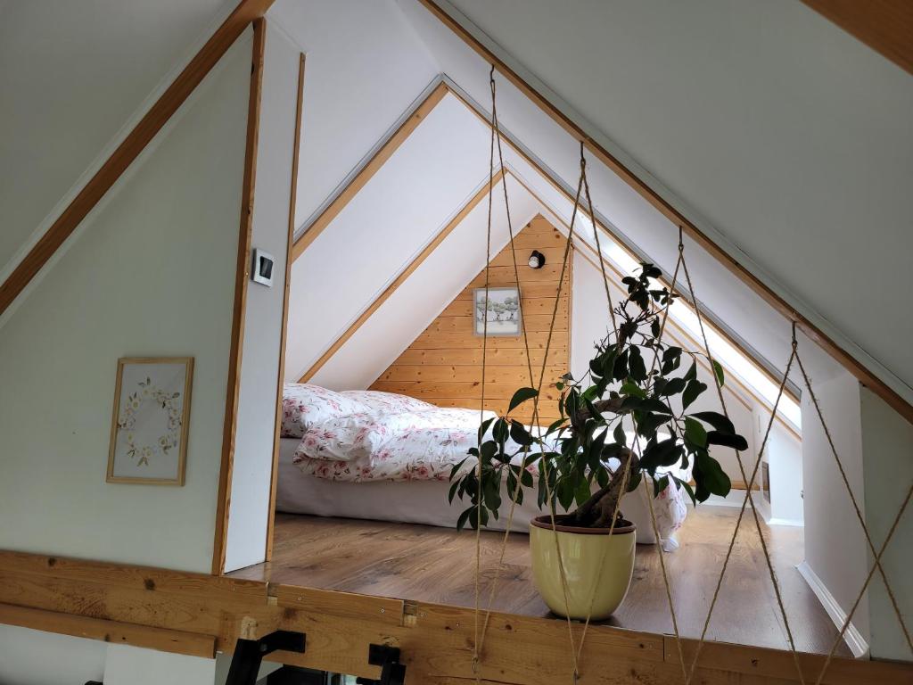 een kamer met een bed en een potplant bij Widokowy Raj Piękny Widok!! in Międzybrodzie Bialskie