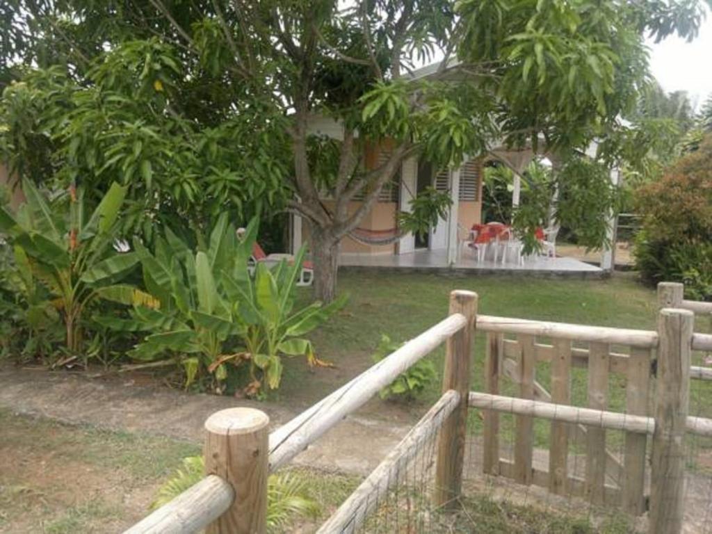 Zahrada ubytování Residence Corail