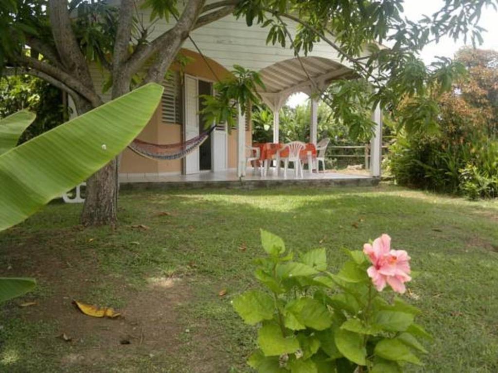 a house with a tree and a pink flower in the yard at Residence Corail in Sainte-Rose