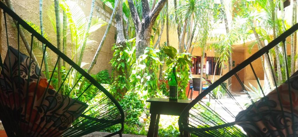 Zahrada ubytování Hotel Barrio Latino