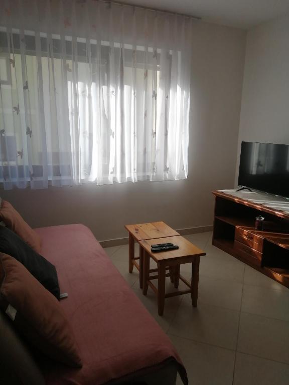 TV a/nebo společenská místnost v ubytování Apartma Praprot