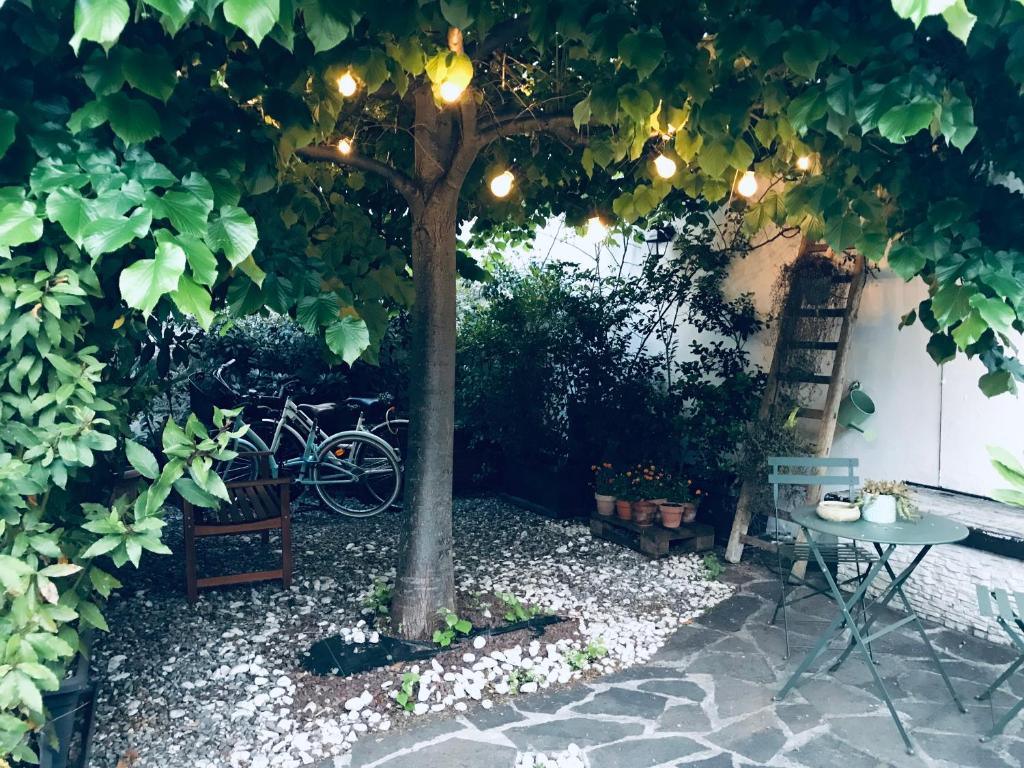 Trullo Syrah-Trulli Antì Charme & Relax - 10