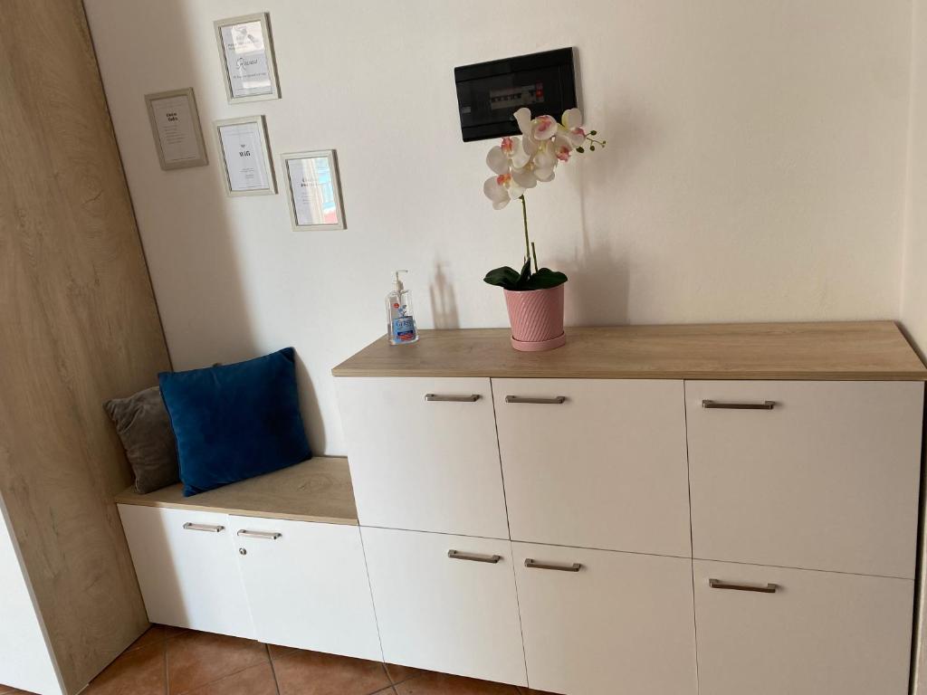 TV a/nebo společenská místnost v ubytování Kenza apartment