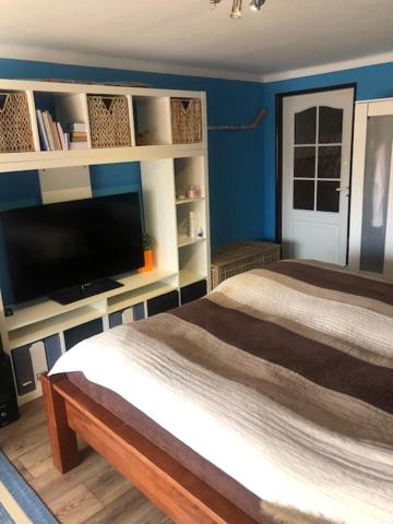 Schlafzimmer mit einem Bett und einem Flachbild-TV in der Unterkunft Apartmán Skvělá Nálada in Všemyslice