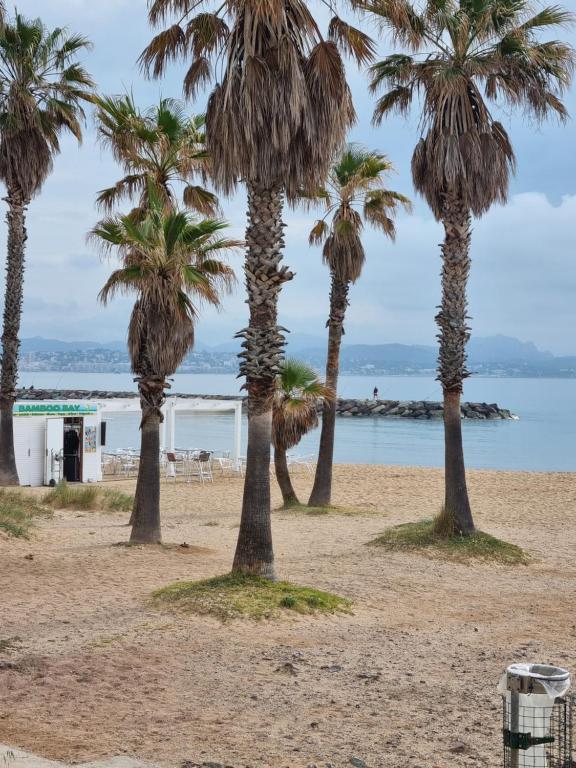 Fotografia z galérie ubytovania villa yucca v destinácii Fréjus