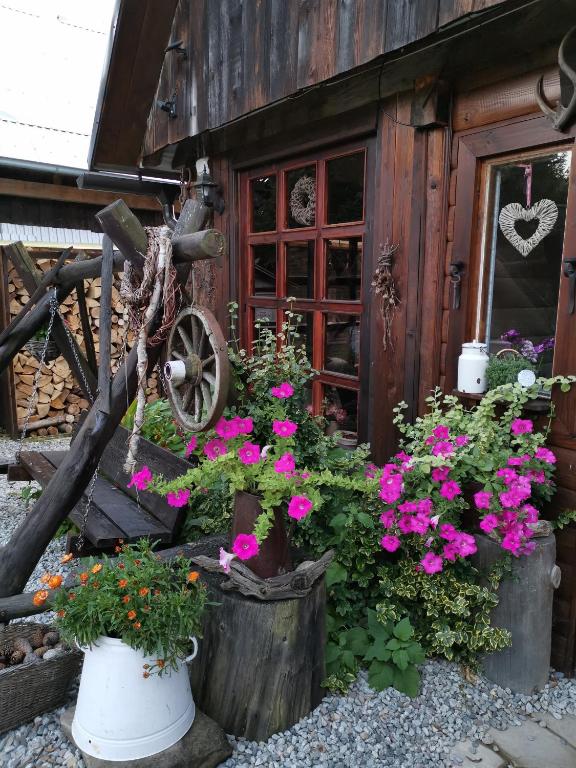 Zahrada ubytování Guesthouse Eden