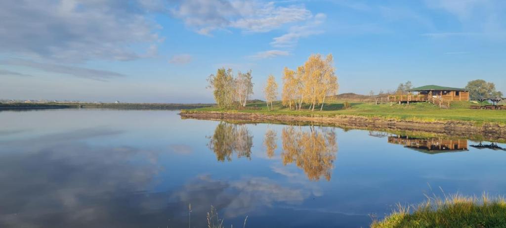 um lago com árvores e uma casa ao fundo em normobaria Górki em Wiślica