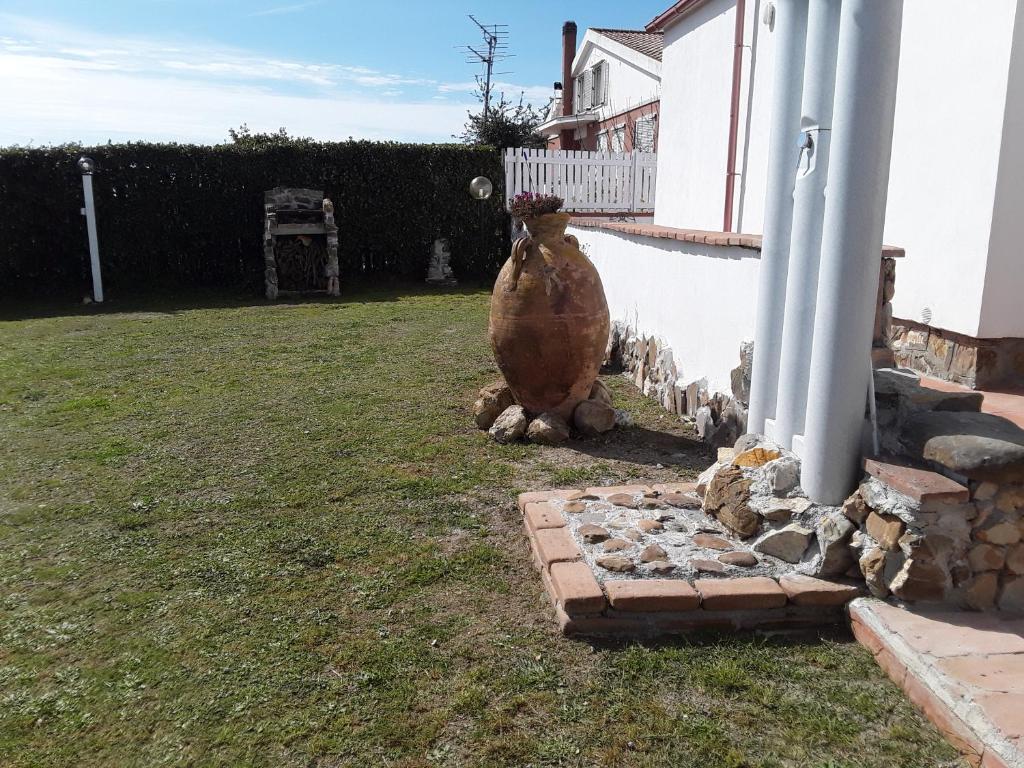Animais no apartamento ou nos arredores