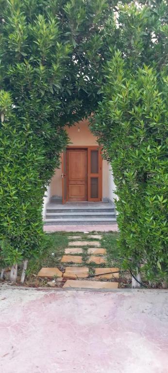 Zahrada ubytování Villa - KOUN - Ras Al Hekma