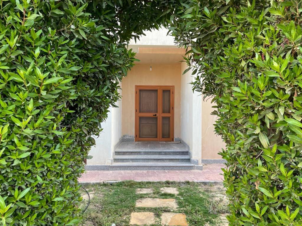 Zahrada ubytování Villa - KOUN - Ras Al Hekma