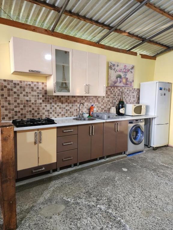 a kitchen with a sink and a refrigerator and a dishwasher at Гостевой дом у Ларисы in Gagra