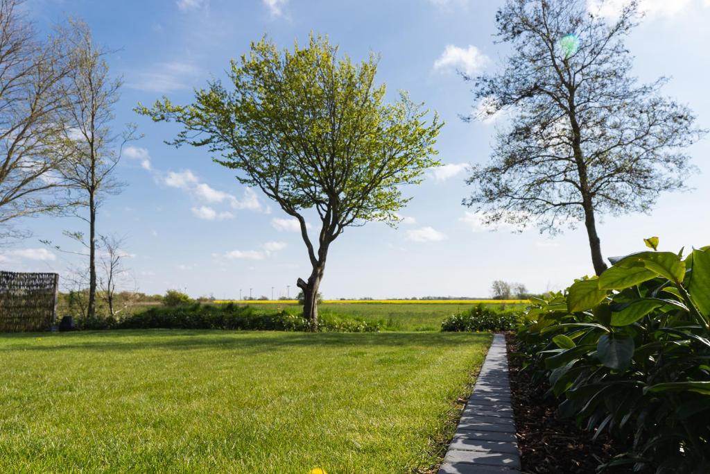 una pasarela a través de un campo de hierba con dos árboles en Ferienwohnung Landblick, en Emmelsbüll-Horsbüll