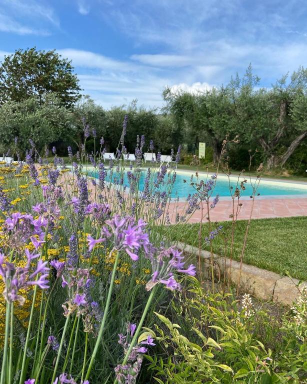 Zahrada ubytování GLAMPING SUITE IL GRILLO