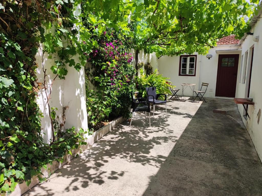 a walkway leading to a house with flowers at CASA AURORA S. MARCOS in Figueira da Foz