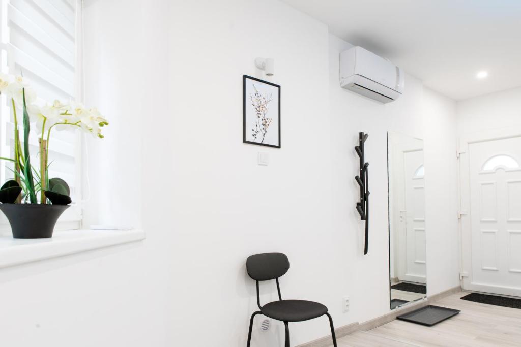 Fotografie z fotogalerie ubytování The Central Border Premium Apartment ve Štúrově