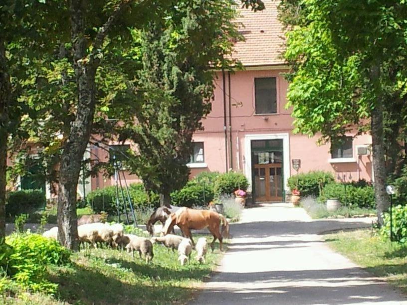 a horse and a herd of sheep in front of a house at Country House Villa delle Rose Agriturismo in Rionero in Vulture