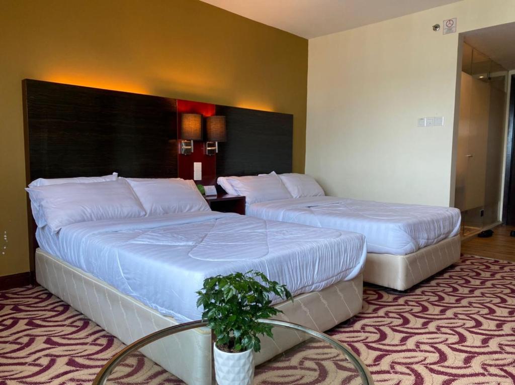 una habitación de hotel con 2 camas y una planta en BV1 STUDIO KK CITY CENTRE WITH POOL NEAR Imago, en Kota Kinabalu