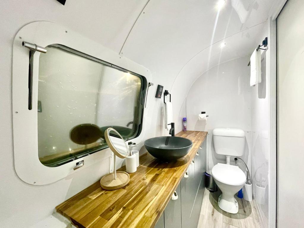 Koupelna v ubytování Frankie the Silver Bullet Airstream