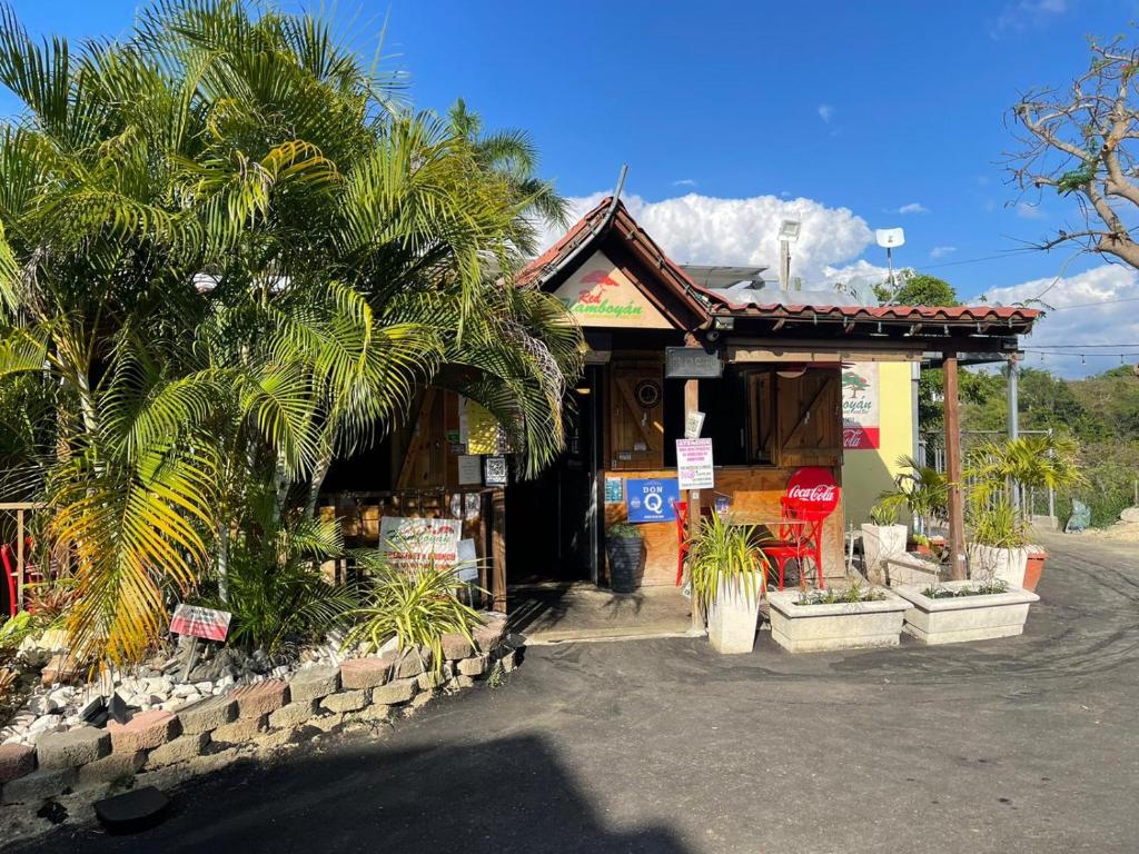 Red Flamboyan Guesthouse and Restaurantにある庭