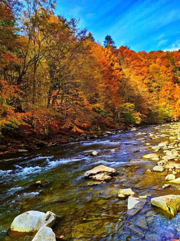 Fotografia z galérie ubytovania Bieszczady Apartament "Cicha Woda" v destinácii Ustrzyki Dolne