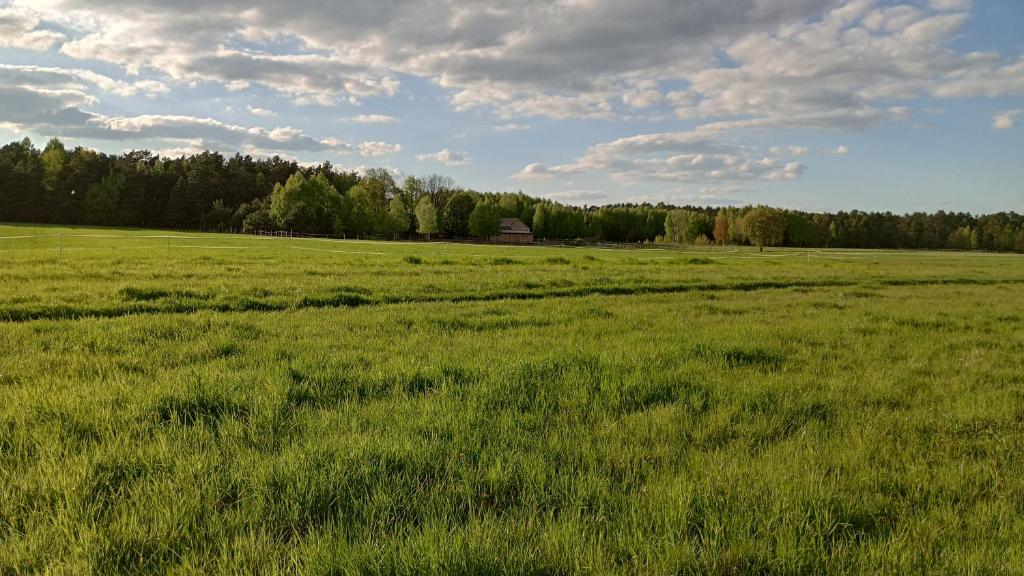 um grande campo de relva verde com um celeiro à distância em Kolorowe Wzgórze agroturystyka i konie em Trojanów