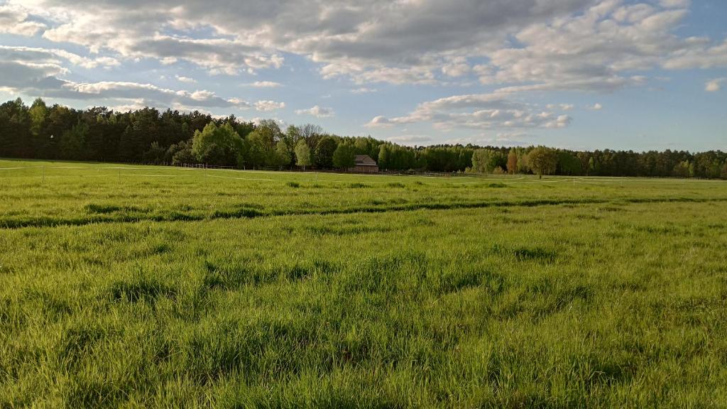 Kolorowe Wzgórze agroturystyka i konie - Housity