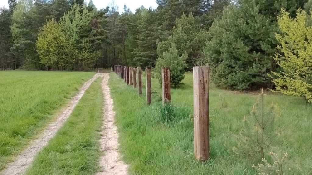 Kolorowe Wzgórze agroturystyka i konie - Maison D'une Chambre