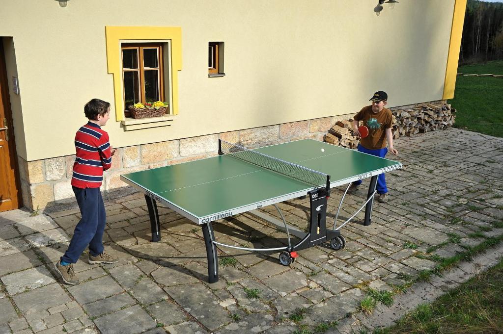 Stolní tenis v ubytování Rodinné ubytování Debrné nebo okolí