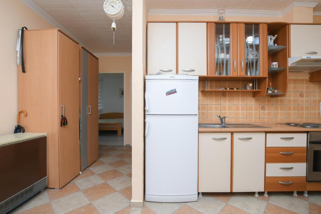 Kuchyň nebo kuchyňský kout v ubytování Apartman Aleksandar