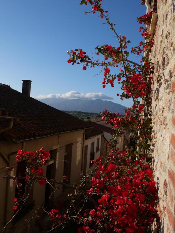 un ramo de flores rojas al lado de un edificio en Chambre et salon climatisés chez l'habitant dans une maison de village de charme, en Passa