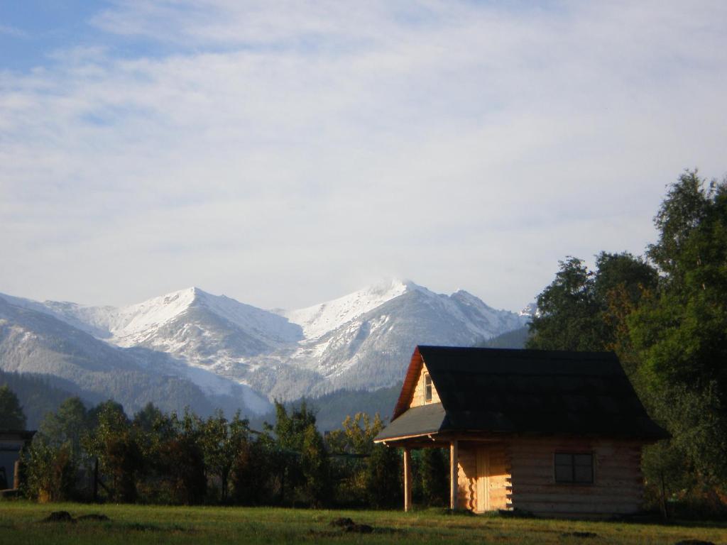 una piccola cabina con montagne innevate sullo sfondo di PRZYCZEPA CAMPINGOWA Ogrzewana !!temperatura 17lub 18stopni ZAKOPANE a Zakopane