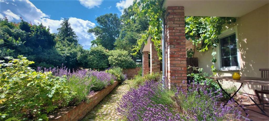 a garden with purple flowers next to a house at Landhaus Krummin in Krummin