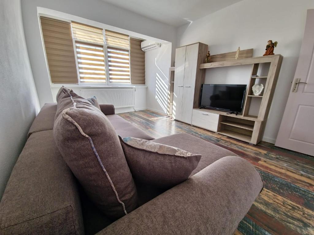 a living room with a couch and a television at APARTAMENT 2 CAMERE in Bechet