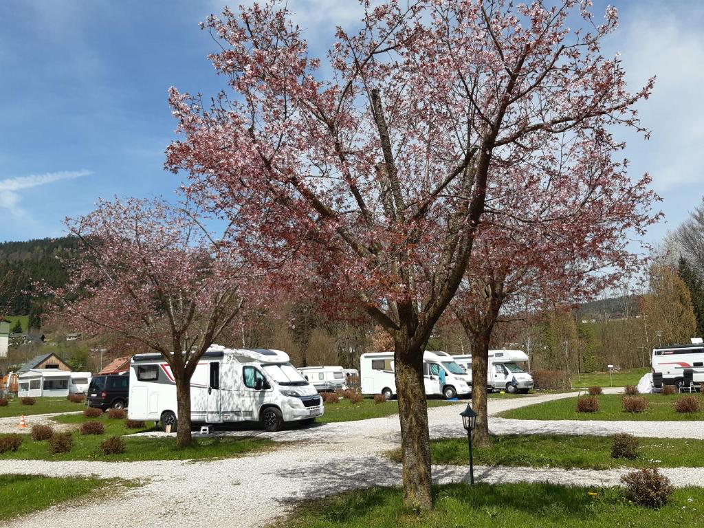 Paesaggio naturale nelle vicinanze di questo campeggio di lusso