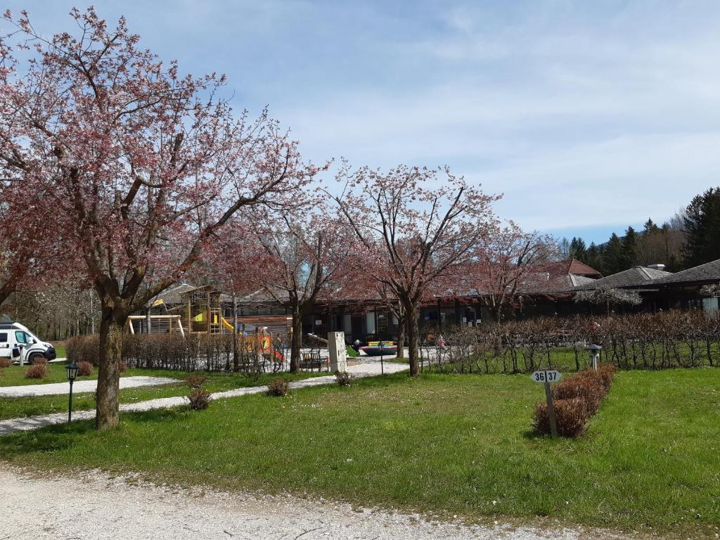 Giardino di Campingfass Almtal