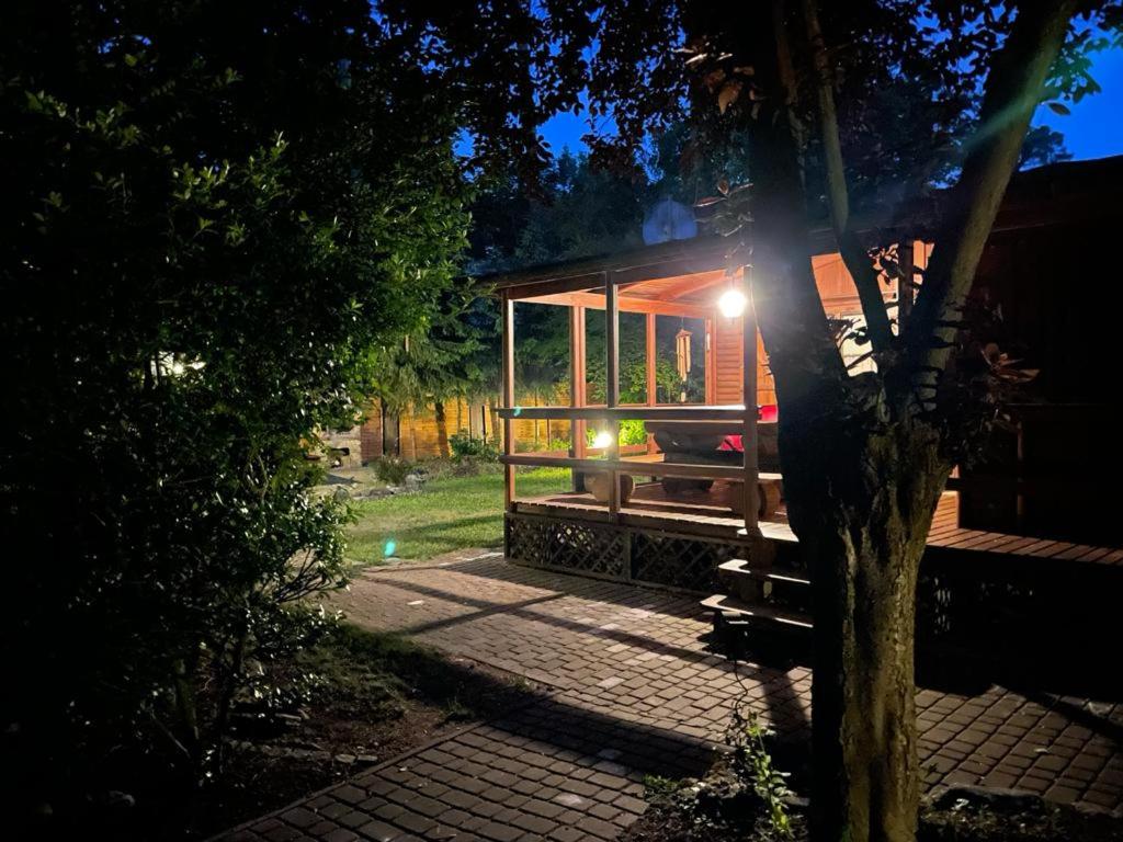 a tiny house with lights on the side of it at Domek u Justy. in Pojezierze