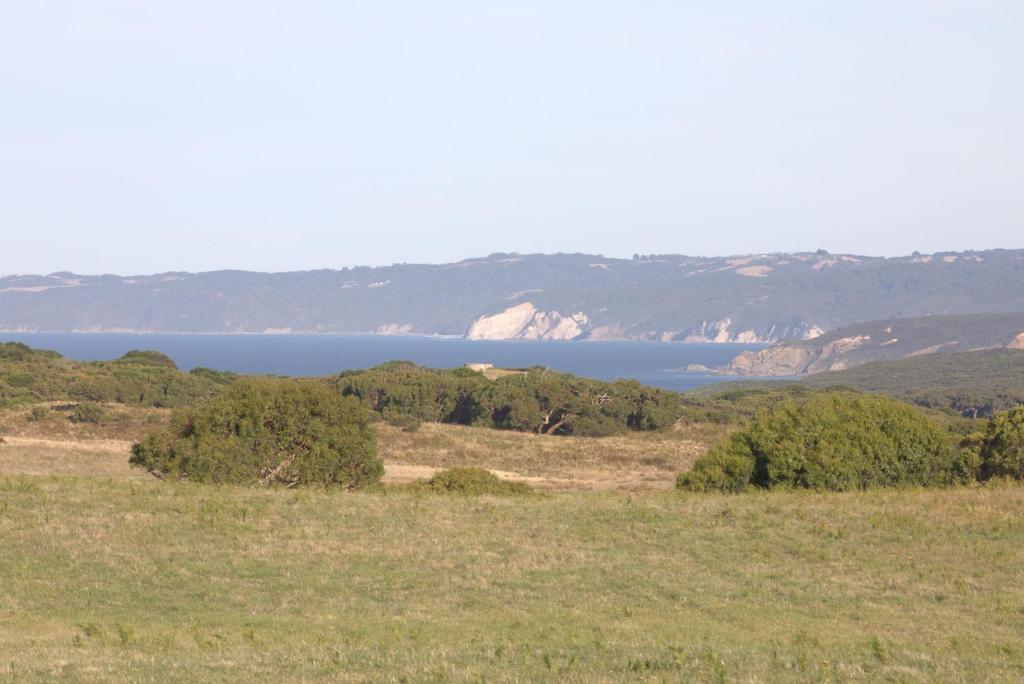 Image showcasing RV Rentals: Explore the Open Road in Comfort | Outdoorsy