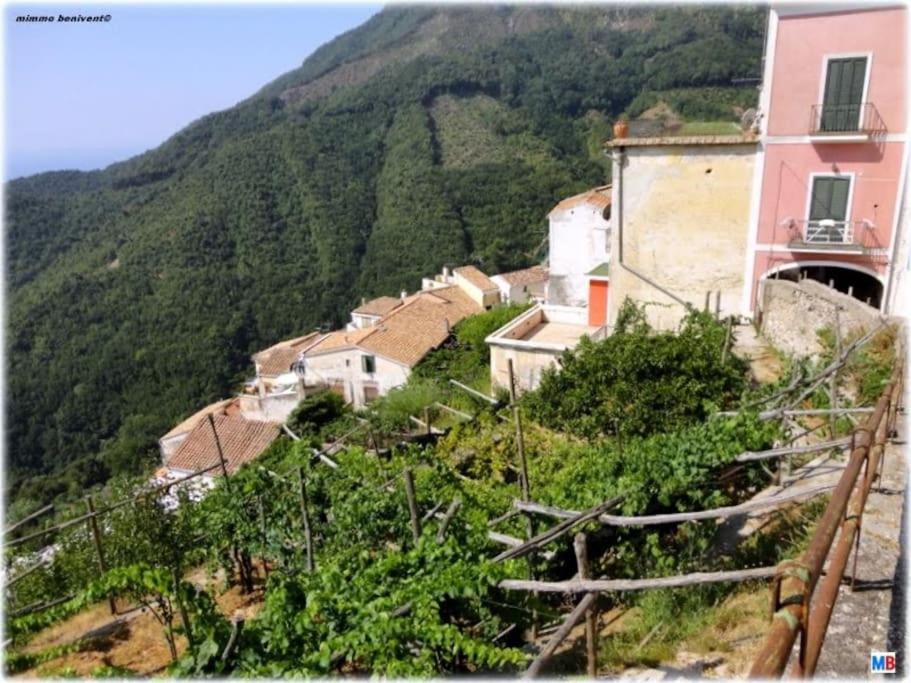 a group of houses on a hill with a mountain at A casa di nonna Elvira in Vietri sul Mare