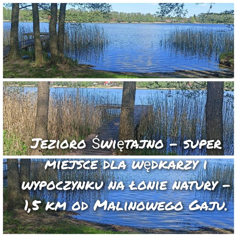 Příroda nedaleko ubytování v soukromí