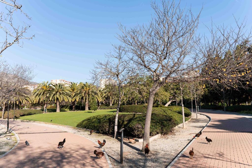 Fotografia z galérie ubytovania BenalSun v destinácii Benalmádena
