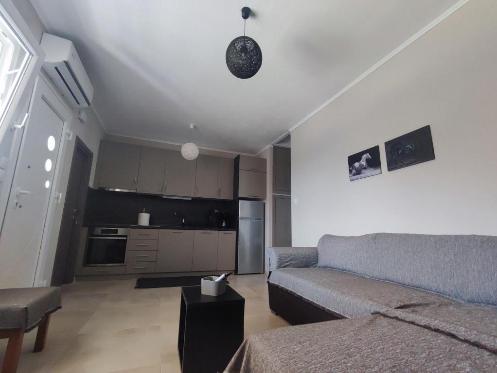 uma sala de estar com um sofá e uma cozinha em A & F Apartments - Fay's house em Kalivia Poligirou