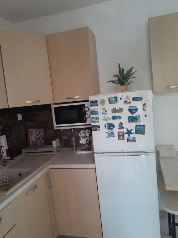 Kuchyň nebo kuchyňský kout v ubytování argiri appartments