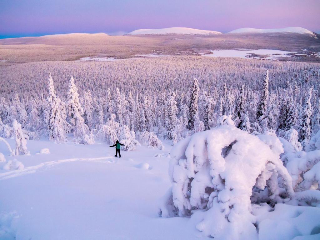 une personne skier à travers une forêt enneigée dans l'établissement Ylläs Kanerva 108, à Ylläs