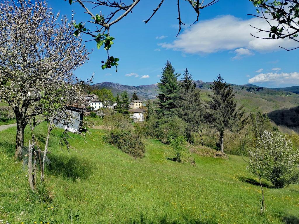 un campo verde con casas en una colina con árboles en Agriturismo I Giggi, en Rezzoaglio