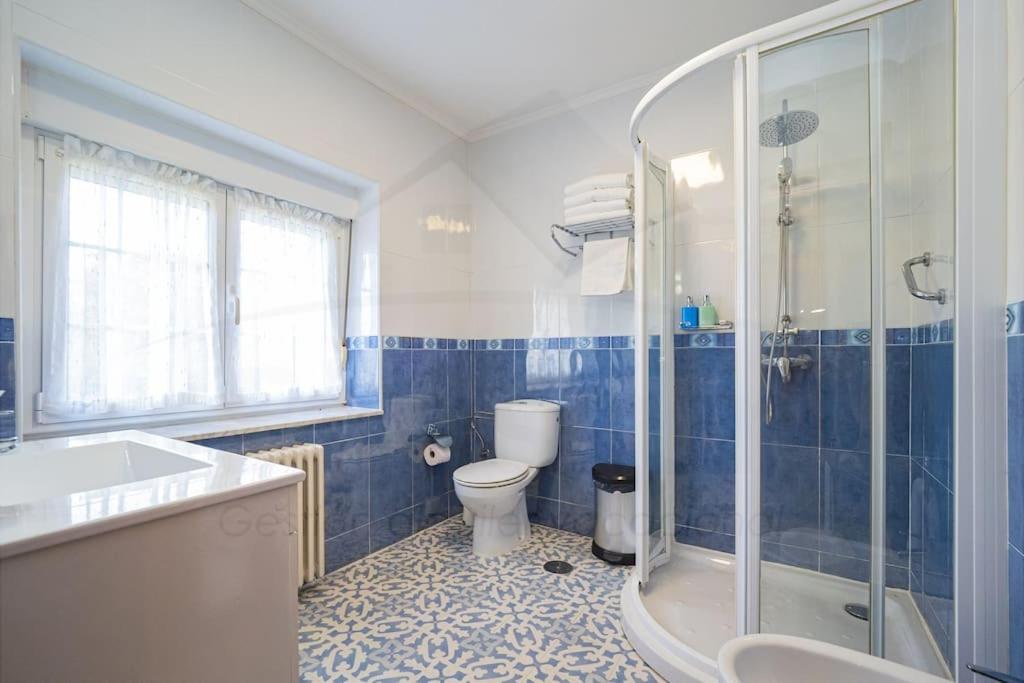 un bagno blu e bianco con servizi igienici e doccia di La Casina de Martín a Limanes