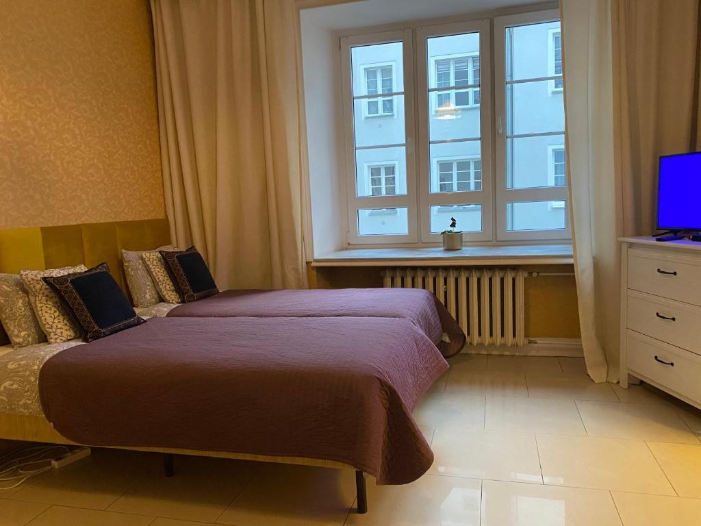 um quarto com uma cama, uma janela e uma televisão em Poznańska Street Apartment em Varsóvia