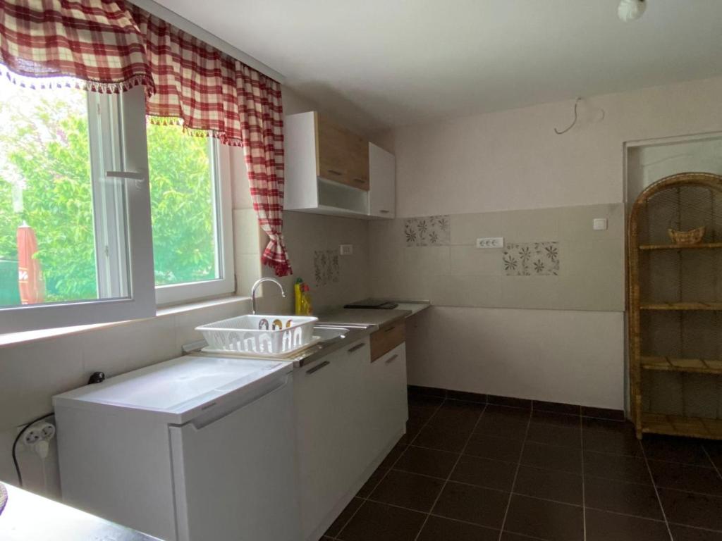 Kuchyň nebo kuchyňský kout v ubytování Apartman Ema