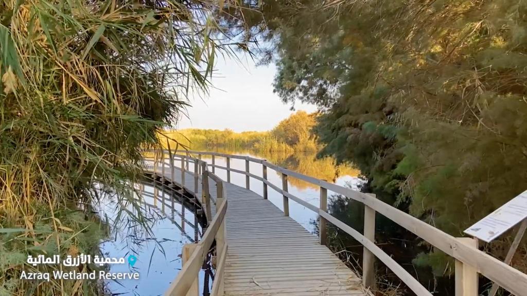 un pont en bois sur une masse d'eau dans l'établissement Azraq Lodge, à Al Azraq ash Shamālī